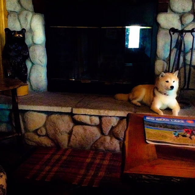 _水上漂流骑行：探险者的新宠_，水上漂流怎么玩