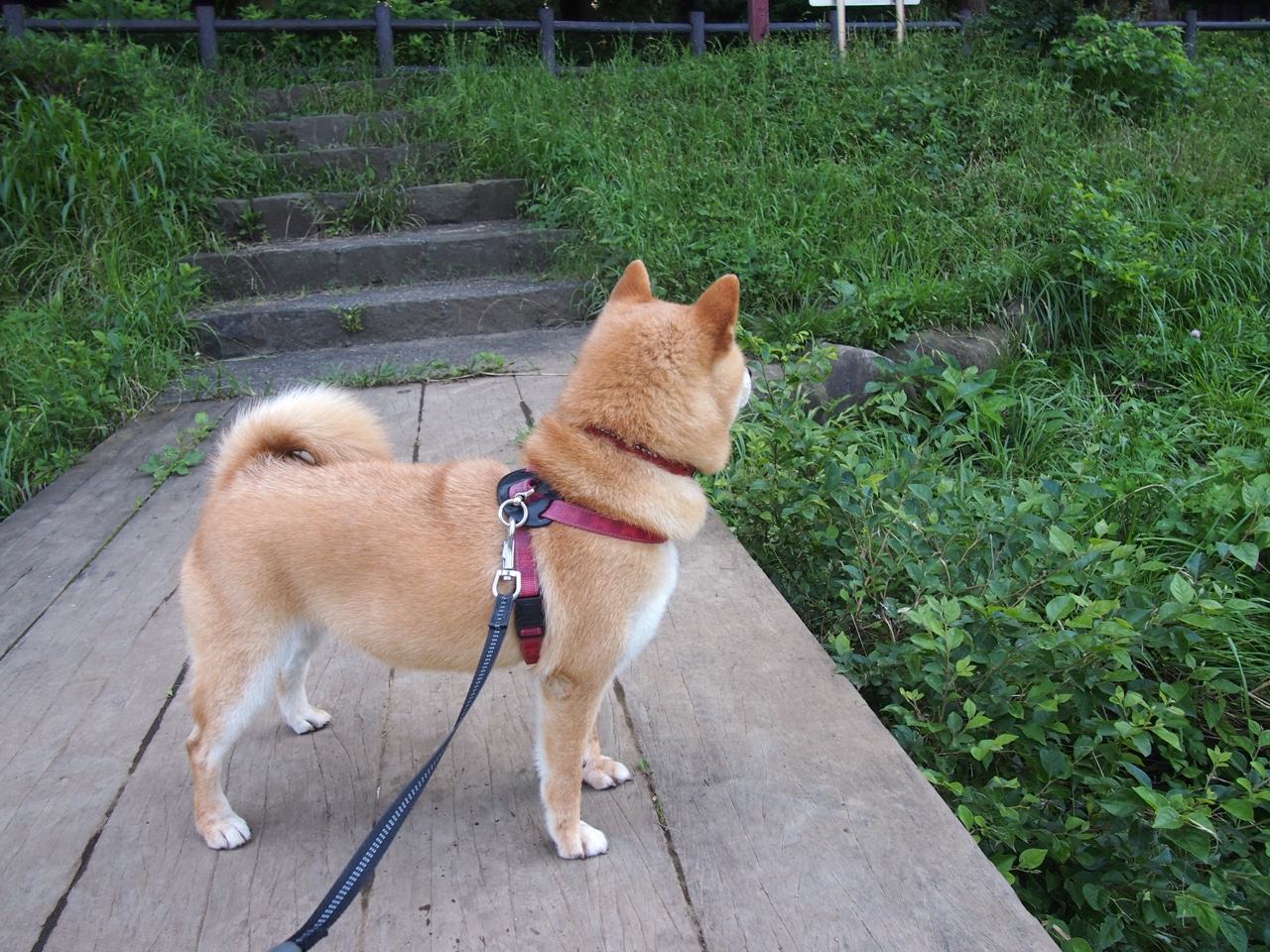 _水上漂移：速度、技巧与浪花交织_，水上漂教程