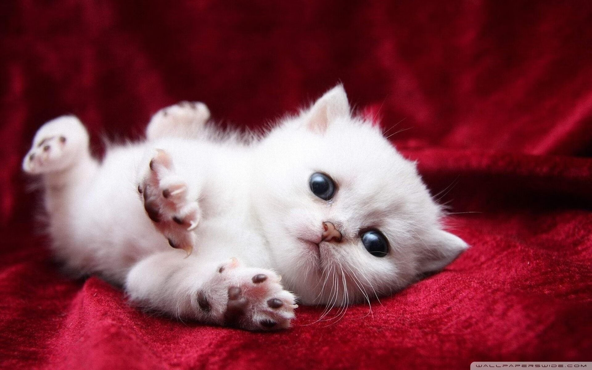 九游官网首页-各地青少年足球联赛火热进行，挖掘潜力新星不断涌现，全国青少年足球