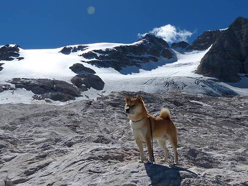 国王队青年力量崛起,球队未来充满希望,国王队青年力量崛起,球队未来充满希望